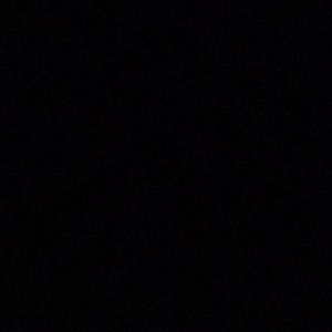 Meet your Posher, Lynne ann